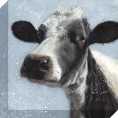 (DISC)Moo SML-Canvas