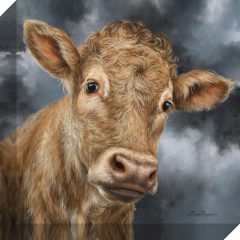 (DISC)Charolais Sml – Canvas