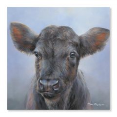 (DISC)Aberdeen Angus Calf
