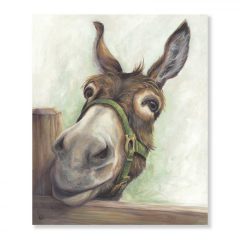 (DISC)Hee Haw Donkey