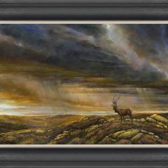 Highland Stag