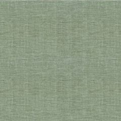 Daro Fabric C