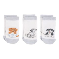 Little Paws Socks