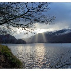Evening Light
