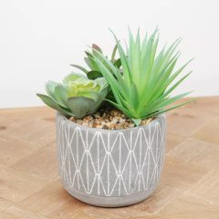 Assorted Artifical Plants