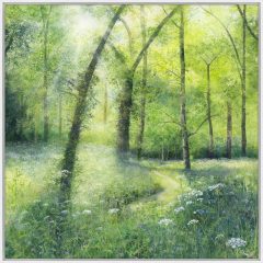 MayTime In The Woods Small