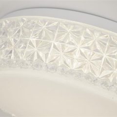 Leo Led Flush Light