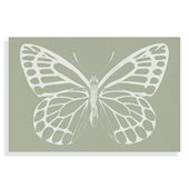 (disc)Mink Butterfly